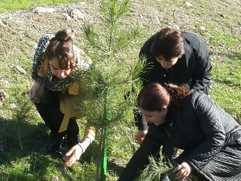 Qazax rayonunun ictimai işlərində “Avey” Dövlət Tarix-Mədəniyyət qoruğunun iştirakı
