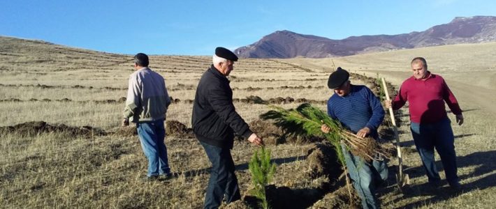 Qoruğumuzun “Göyəzən” filialında Göyəzən dağının ətəyində 1500-ə yaxın iqlimə uyğun ağaclar əkilmişdir Qoruğumuzun “Göyəzən” filialında Göyəzən dağının ətəyində 1500-ə yaxın iqlimə uyğun ağaclar əkilmişdir