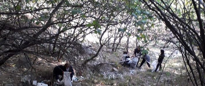 Qoruğumuzun filiallarında təmizlik işləri Qoruğumuzun filiallarında təmizlik işləri