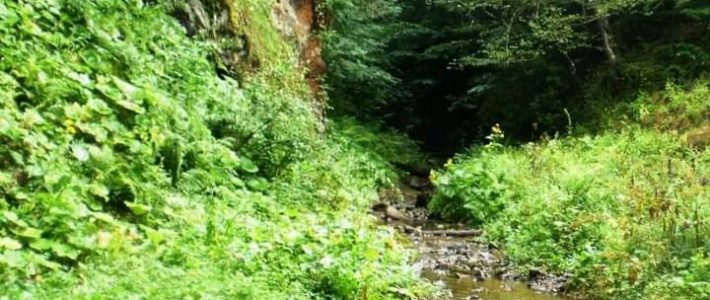 Yolumuzu gözləyən abidələr… Yolumuzu gözləyən abidələr…