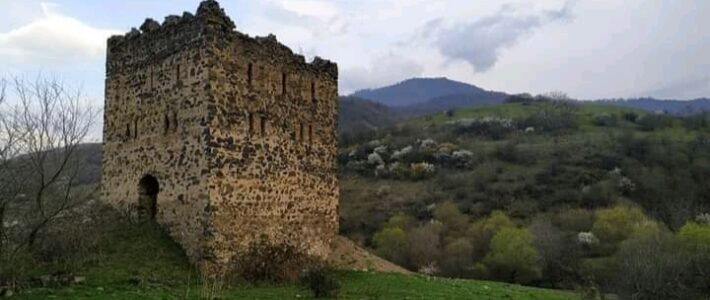 08-14.06.2021- ci il tarixində, Avey Dövlət Tarix-Mədəniyyət Qoruğunun elmi işçisi Qocayeva Rəna Fərhad qızının “Qazax rayonunun qədim tarixi-memarlıq abidələri ” məqaləsi dərc olunmuşdur.