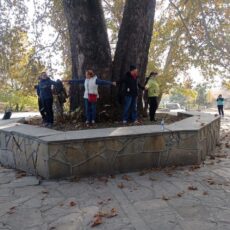 Azərbaycanda COP29 tədbirlərinin keçirildiyi ərəfədə “Avey” Dövlət Tarix-Mədəniyyət qoruğunun ərazisində Bakı şəhərindən gələn tur iştirakçıları və Tovuz məktəbliləri ekskursiyada olmuşdur