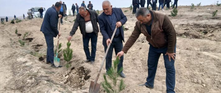 8 noyabr – Zəfər Gününün beşinci ildönümününə həsr olunmuş ağacəkmə aksiyası keçirilmişdir