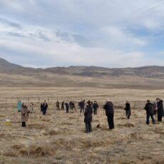 “Şəhərsalma və Memarlıq İli” çərçivəsində “Avey” və “Keşikçidağ” Dövlət tarix-mədəniyyət qoruqlarının birgə təşkilatçılığı ilə qoruğa məxsus informasiya mərkəzində ağacəkmə aksiyası həyata keçirilmişdir